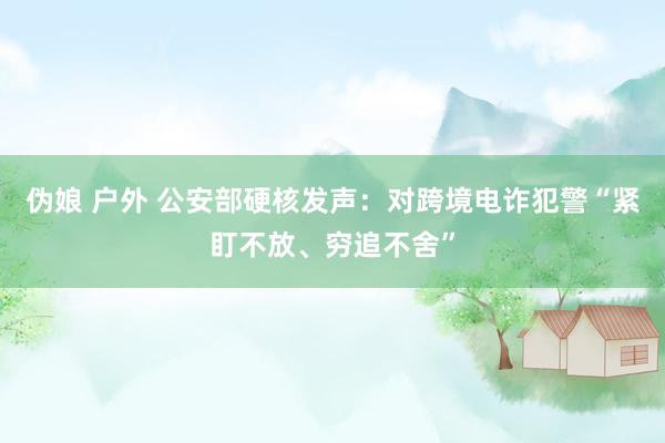 伪娘 户外 公安部硬核发声：对跨境电诈犯警“紧盯不放、穷追不舍”