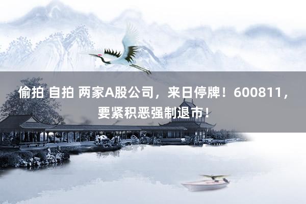偷拍 自拍 两家A股公司，来日停牌！600811，要紧积恶强制退市！