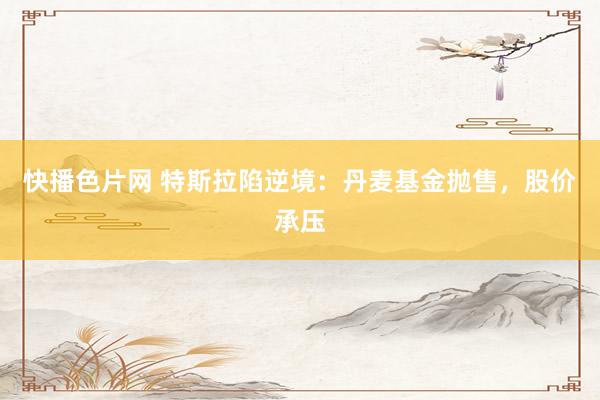 快播色片网 特斯拉陷逆境：丹麦基金抛售，股价承压