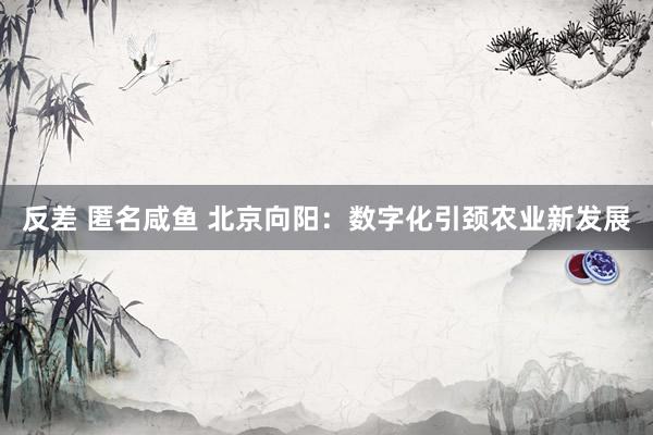 反差 匿名咸鱼 北京向阳：数字化引颈农业新发展