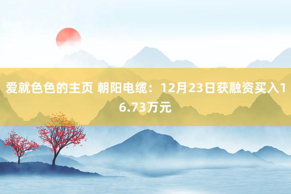 爱就色色的主页 朝阳电缆：12月23日获融资买入16.73万元
