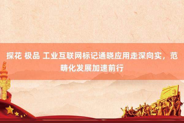 探花 极品 工业互联网标记通晓应用走深向实，范畴化发展加速前行