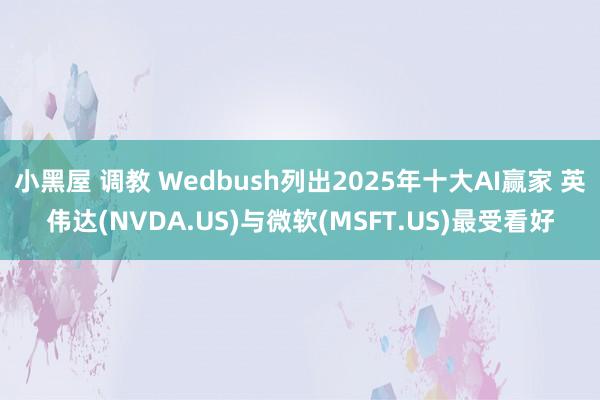 小黑屋 调教 Wedbush列出2025年十大AI赢家 英伟达(NVDA.US)与微软(MSFT.US)最受看好